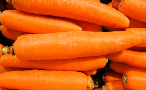 �׶��汾�����ܲ����ӡ�˵�θ庬��˼