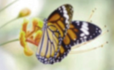 ���꼶�²ᡶС������ëë�桷��Ʒ��ѧ���