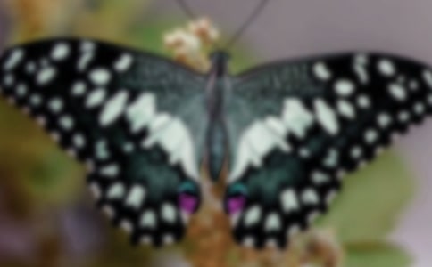 С������ëë���ѧ��˼