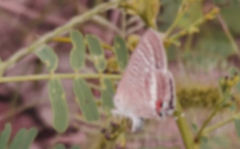 ��̨��ĺ����ȡ��ڶ���ʱ�����ѧ���