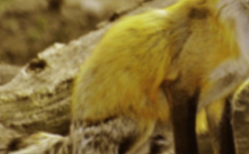 ���������ѻ����ѧ��˼