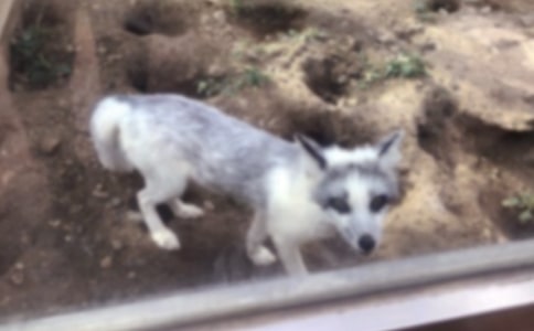 �йغ����ͯ���������Ļ���5ƪ