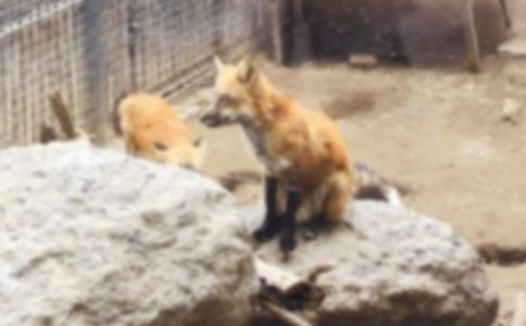 �������ѻ��ѧ��˼����