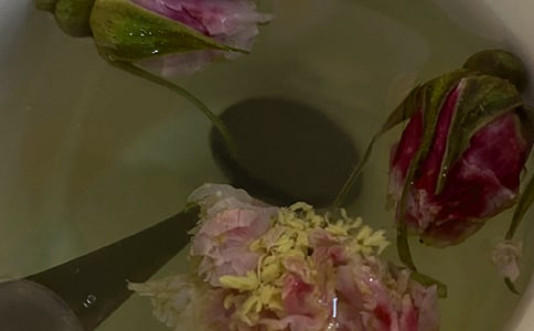 菊花茶作文(集合15篇)