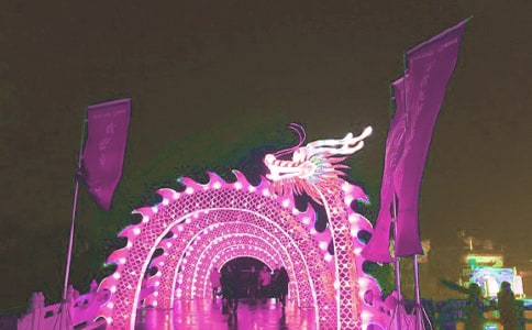 观中山公园花灯展作文600字