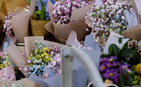 ����Ĵ�ҵ�ƻ���15ƪ