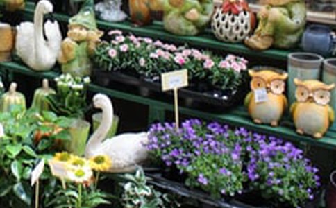 ��ѧ�����ʻ��괴ҵ�ƻ��飨ͨ��5ƪ��