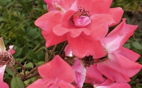 �����������������