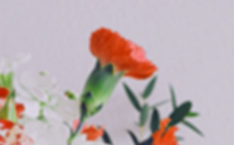 �����Ļ����ѧ���