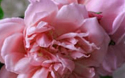 ���ڼ�����Ļ��������������800��