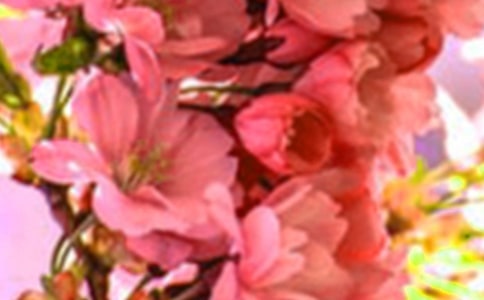 《空中花朵——降落伞》教学设计范文