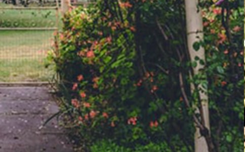 ����������԰����600����ƪ