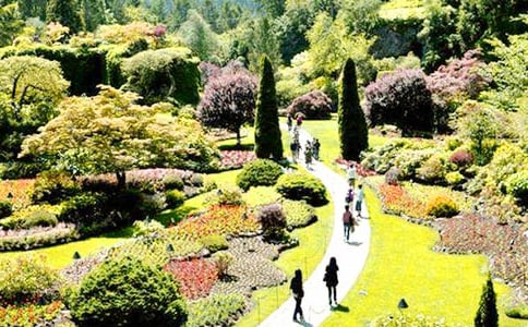 �����˵Ļ�԰���Ľ�ѧ���ģ��