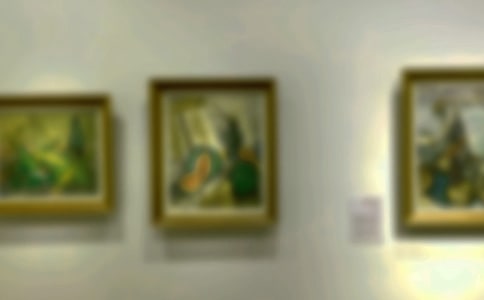 �����黭չ��ܽ�