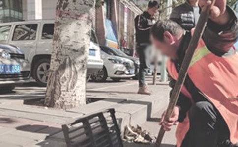 ����������ȸ����ܽ᷶�ģ���ѡ9ƪ��