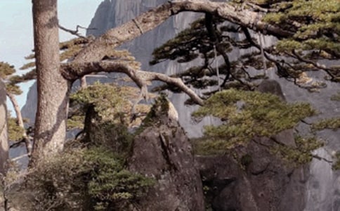 ���ġ���ɽ��ʯ�������ѧ��˼����ѡ6ƪ��