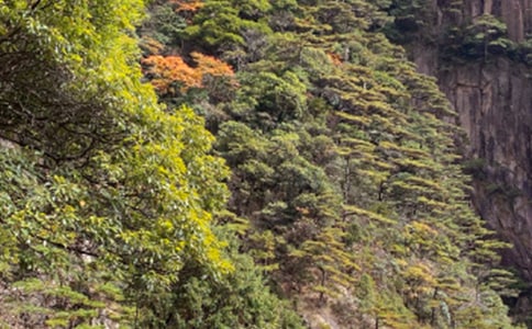 ����ɽ��ʯ���ڶ���ʱ�Ľ�ѧ���