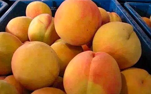 ����Ļ������ģ�ͨ��27ƪ��