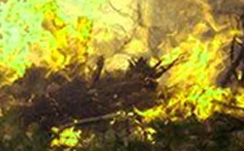 ���������⳥�򵥵�Э���鷶��