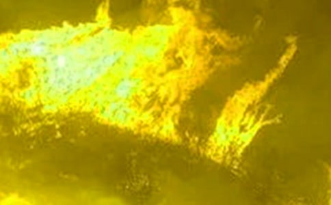 �������ֵı���