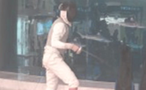 【推荐】击剑作文300字3篇