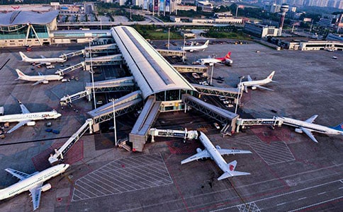 机场为什么要驱鸟