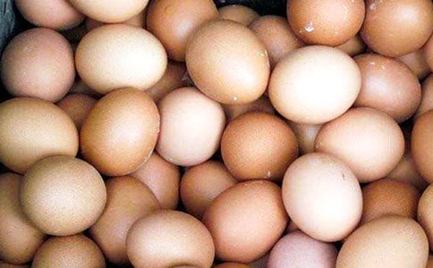 ������������ѧ��˼���ģ�ͨ��5ƪ��