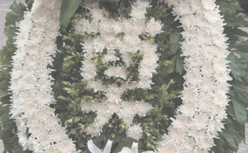 ��ȥ�ļ���-���