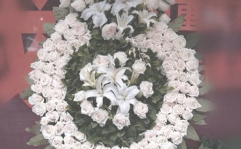 祭奠青春-散文诗歌