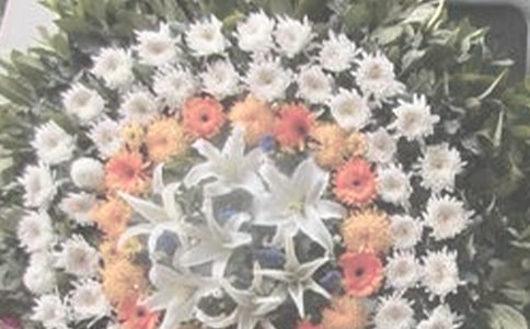 ������ɢ�ģ��ഺ��ļ���