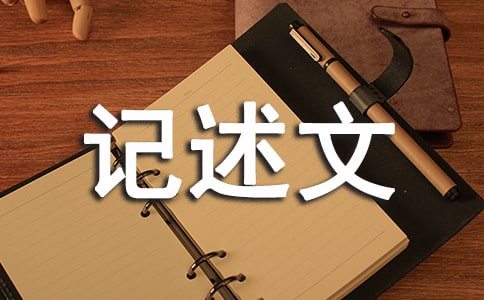 ��һ�������������