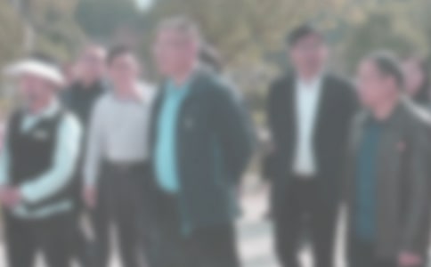 �ͼ첿�����ƻ�����