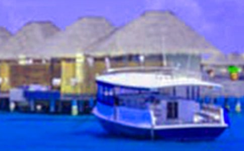 中学生暑假期间社会实践报告