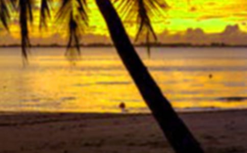 ��ѧ�������ڼ�����ʵ�����淶�ģ�ͨ��7ƪ��