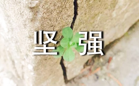 ���ڼ�ǿΨ��������ӣ���ѡ30�䣩