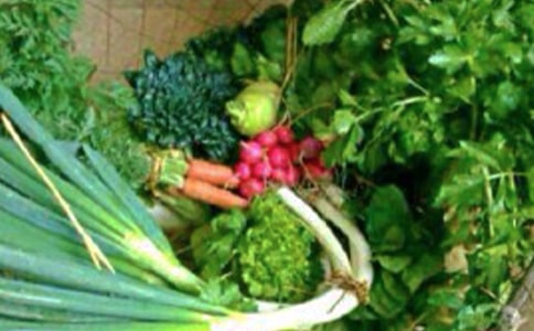 ��ѧ����������ѧ���