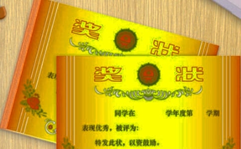 实用的奖状作文300字4篇