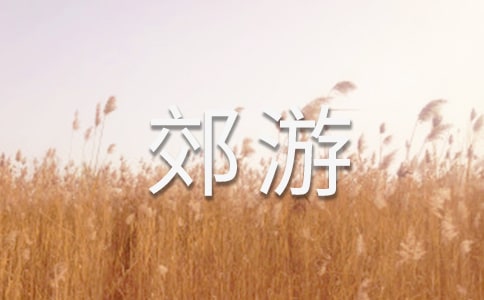 《郊游》说课稿(精选13篇)