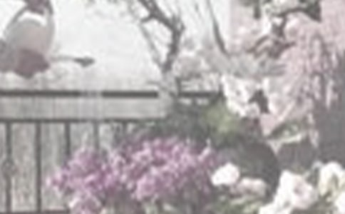 ������������3ƪ