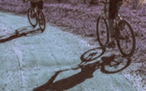 ��̤��Сѧ�����ģ���ѡ16ƪ��