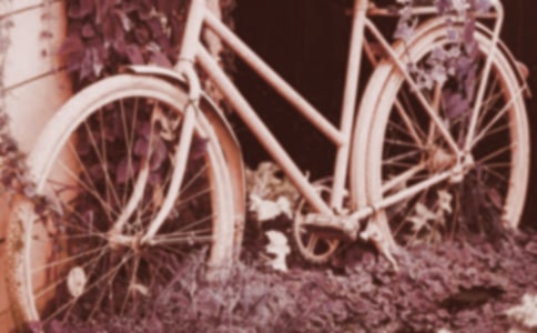 ������˭�Ľ�̤������ѧ��Ʒ���