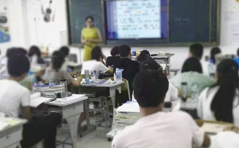 《行道树》教学设计