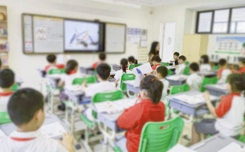 《葵花之最》教学设计