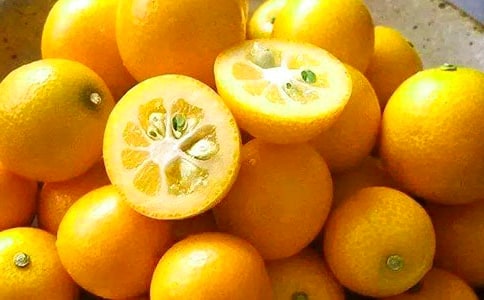 ����۵���үү����