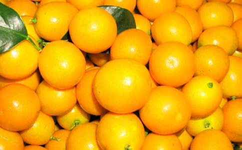 金桔的作文300字八篇