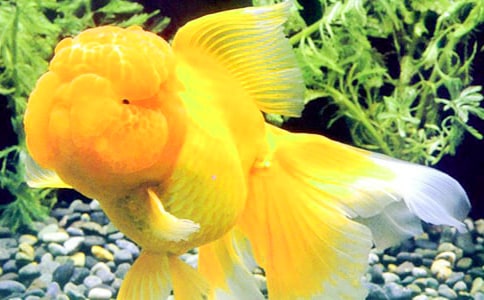 ����ѡ����������300��3ƪ