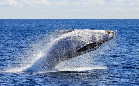 ���������400��8ƪ