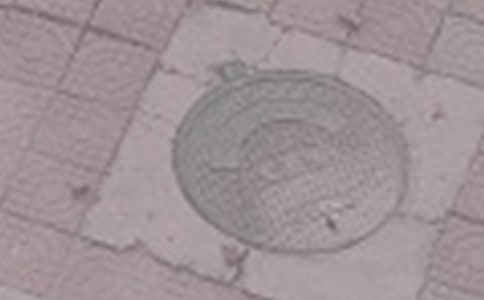 小猴和井盖看图作文