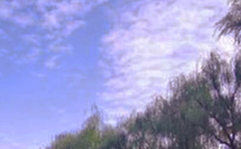 ��԰�ľ�ɫ������300��