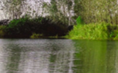 ����������ɫ�ĵ��δ�